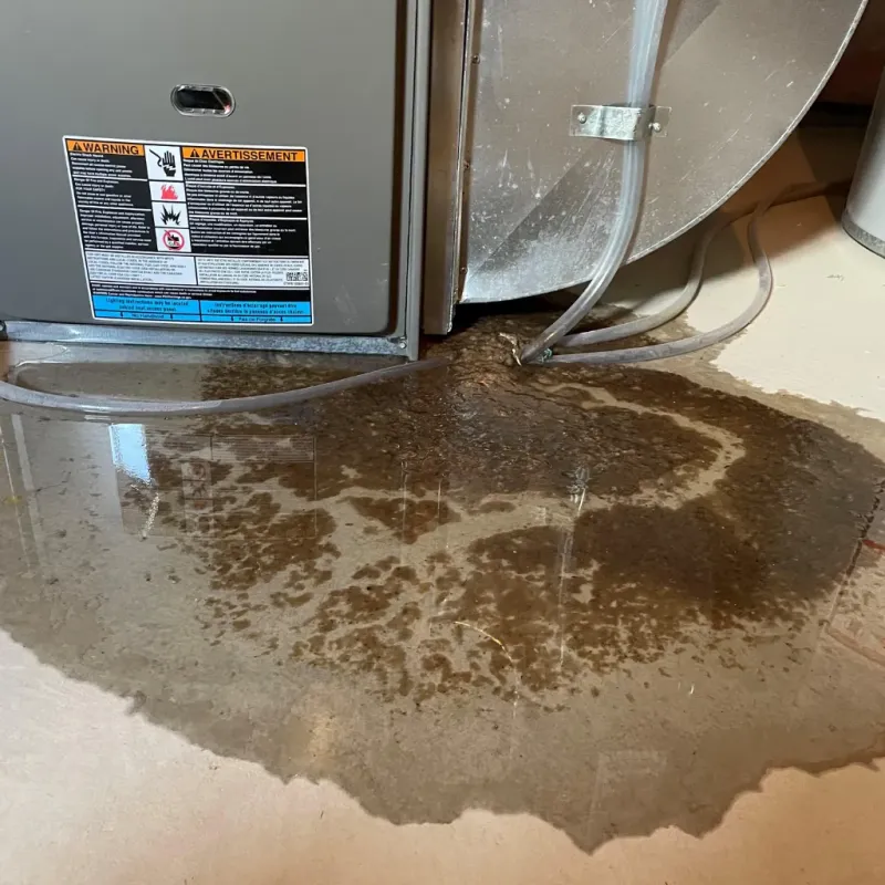 Appliance Leak Cleanup in Bibb County, AL